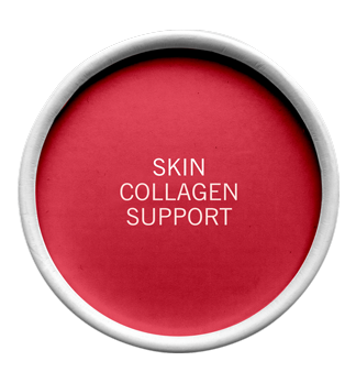 Advanced Nutrition Programme - Skin Collagen Support