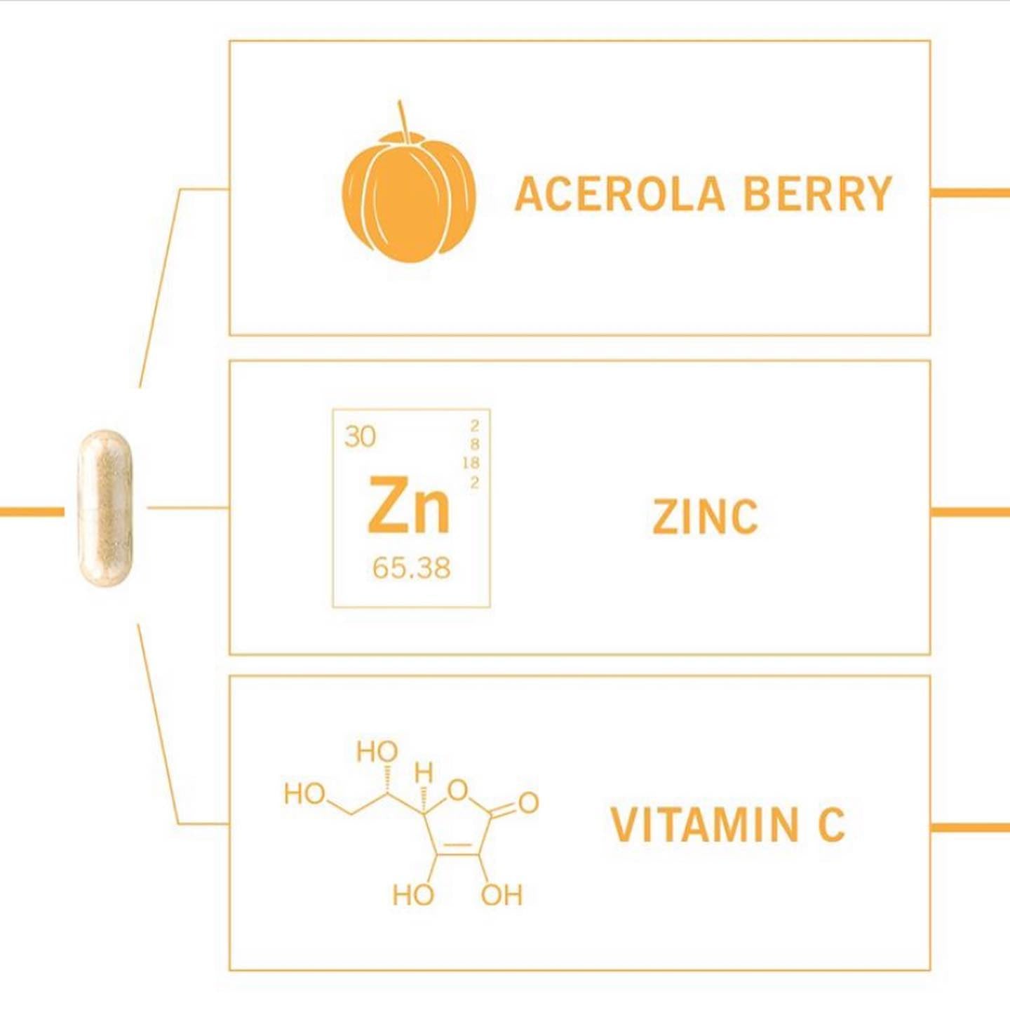 Advanced Nutrition Programme- New Vit C