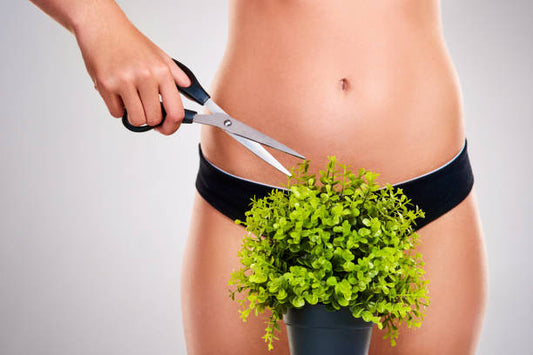 Bikini Waxing at the Brickhouse Beauty Salon